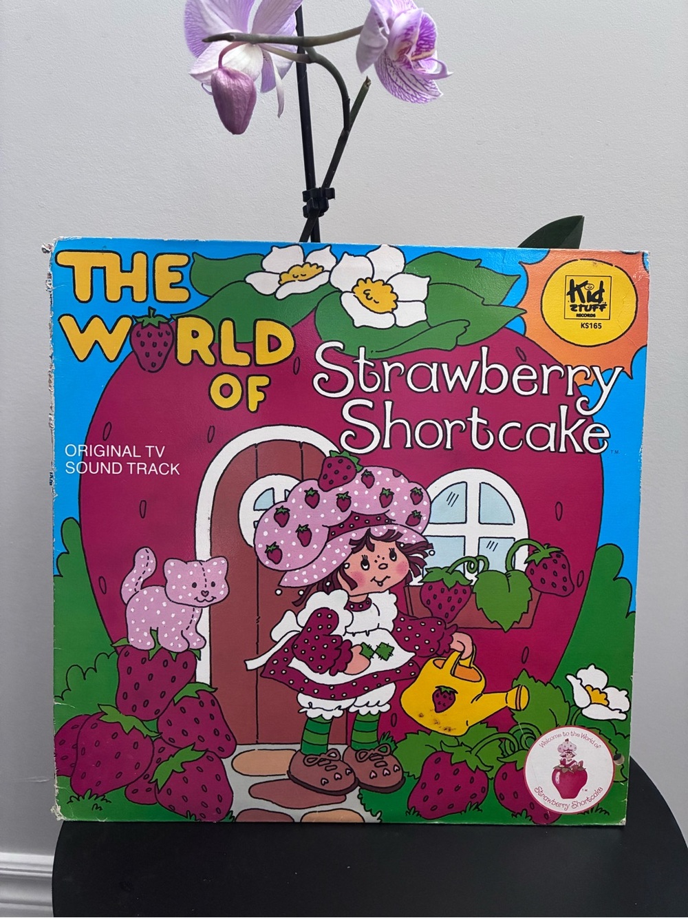VTG 80’s Strawberry Shortcake Record